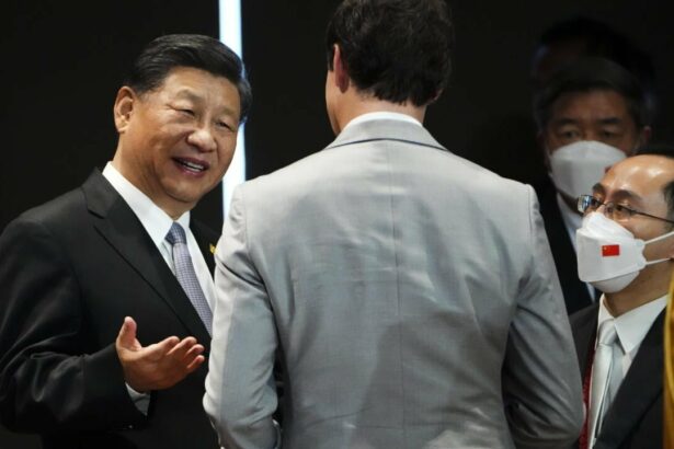 At the G20 summit Xi Jinping and Justin Trudeau had an awkward exchange