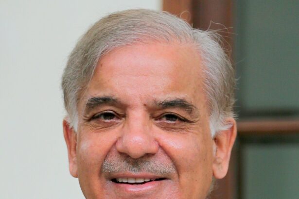 CM Punjab Shehbaz Sharif 35771008313 cropped