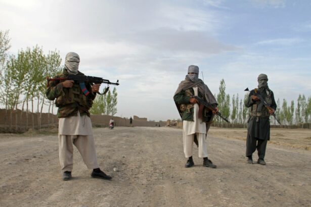 ttp fighters